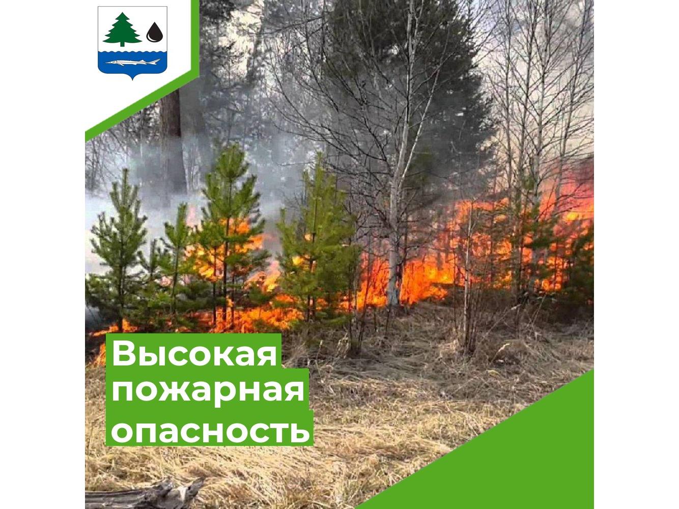 Внимание!.