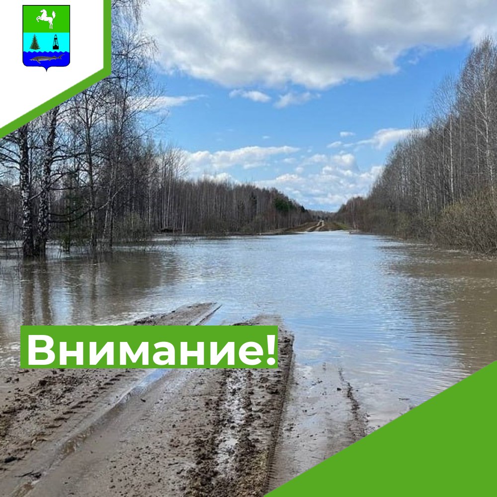 Внимание! Высокая водность!.